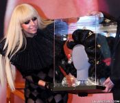 Ladygaga_284629.jpg